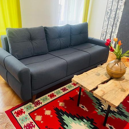 Spacious Stylish Apartment In Old Town Sibiu Exteriér fotografie